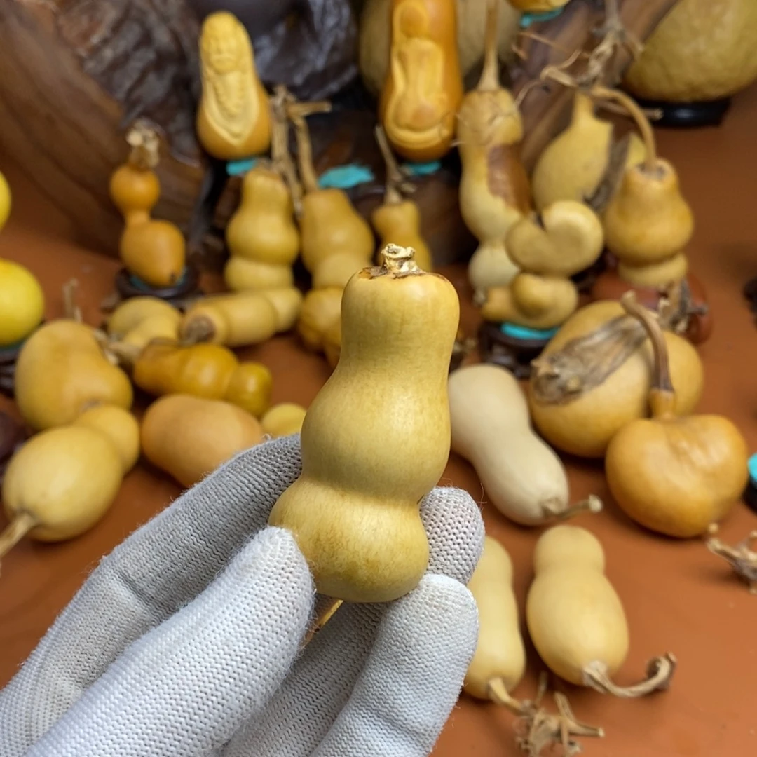 小***挺啦啦教练咯路途教练