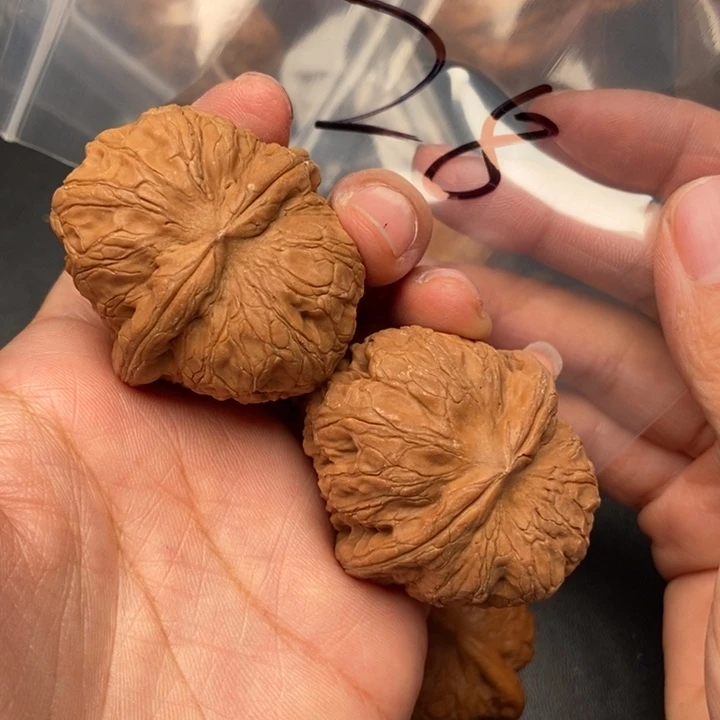 S***n文玩核桃把件28号元宝