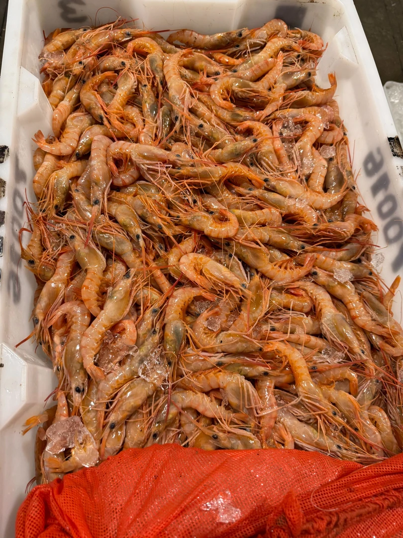 东海野生红虾深海海捕红虾三大金4斤小网海鲜顺丰包邮