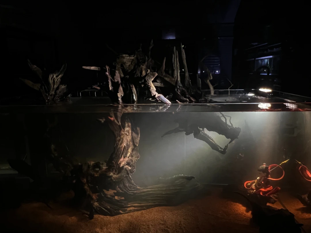 30-40cm专用鱼缸骨架