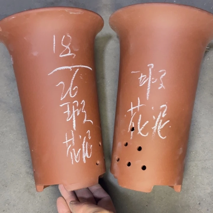 紫砂紫砂紫砂知道