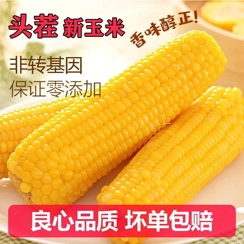 【开年福利】精选大棒黄金糯新玉米单根260以上试吃两棒整箱6.5-7斤