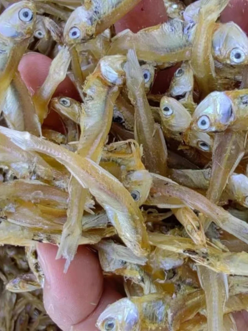 惠来浅海鱼干  (一包一斤