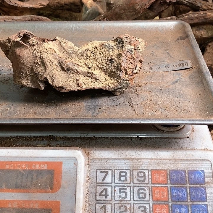 花梨木类?****″海南花梨