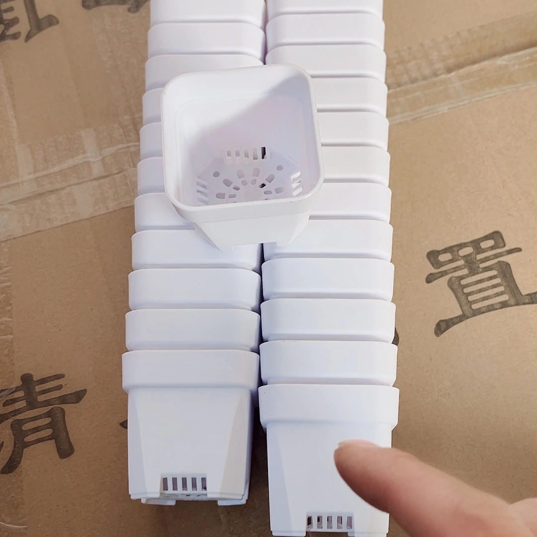 树脂加厚矮胖5方白色50个无托