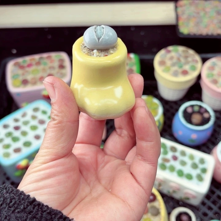 823零下地区记得拍保温箱满18包邮