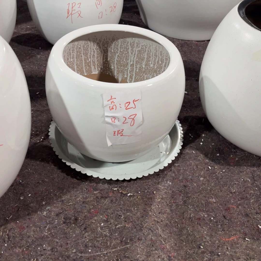 球球白色小号一个