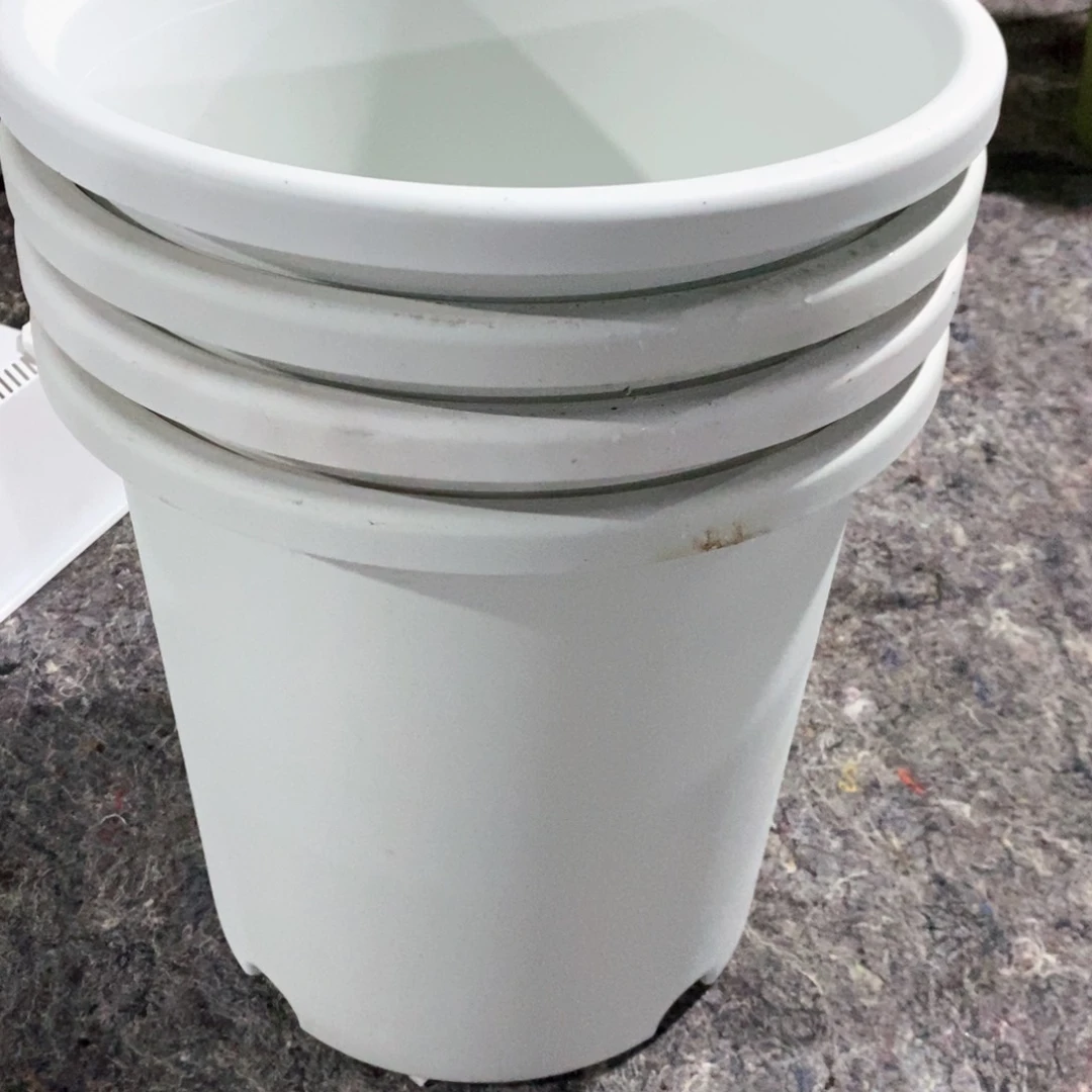 树脂4个7加奶白瑕疵无托