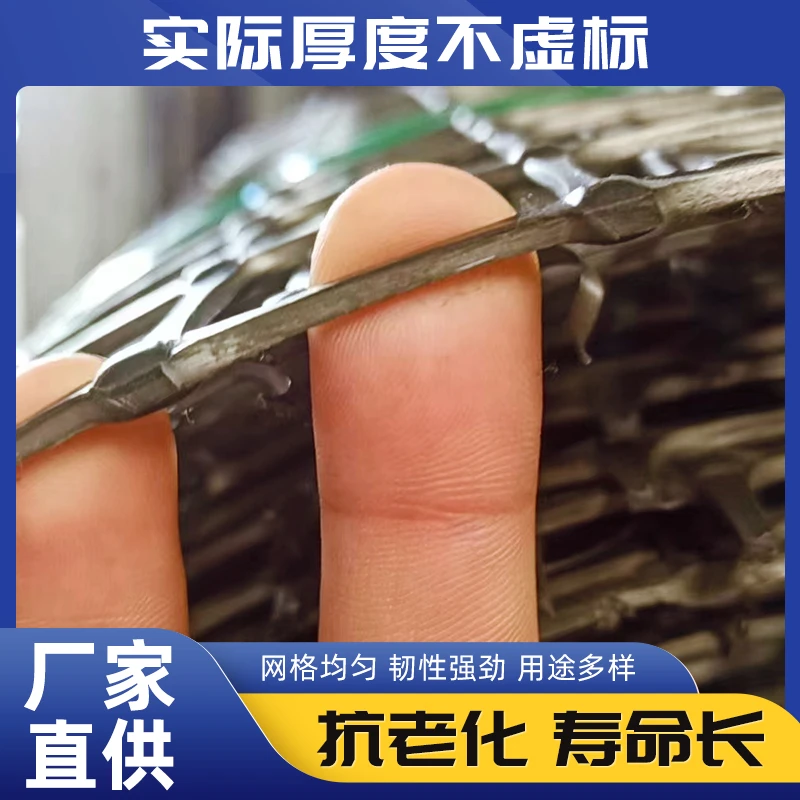 2.2/2.5厚养殖网加厚款养鸡网防护网鱼塘防护网围栏网土工格栅