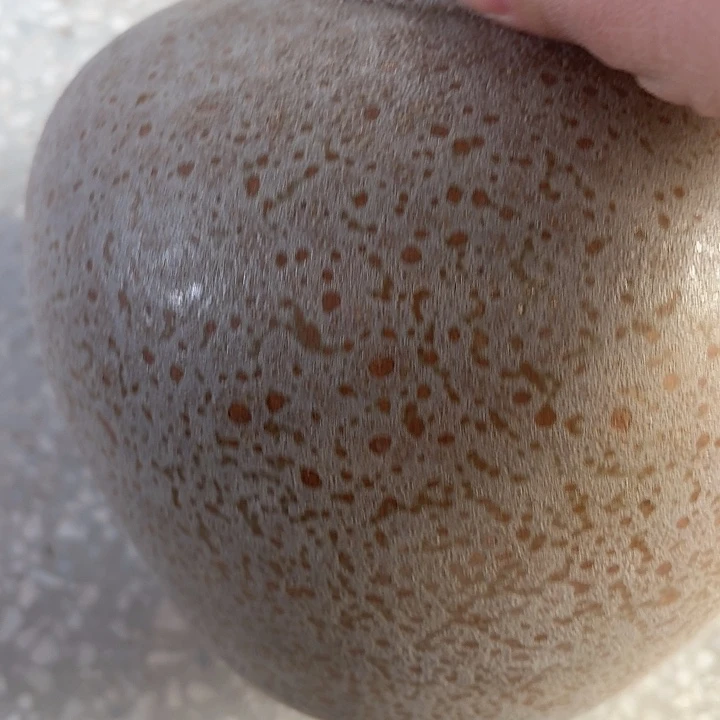 黄泡泡小号高18口径10