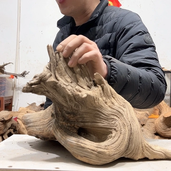 柏木孤*零我们的生活也会