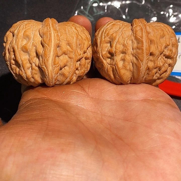 手串/手链核桃46 大元宝。