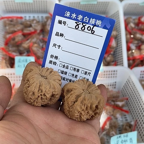 核桃手串/手链核桃11111111111