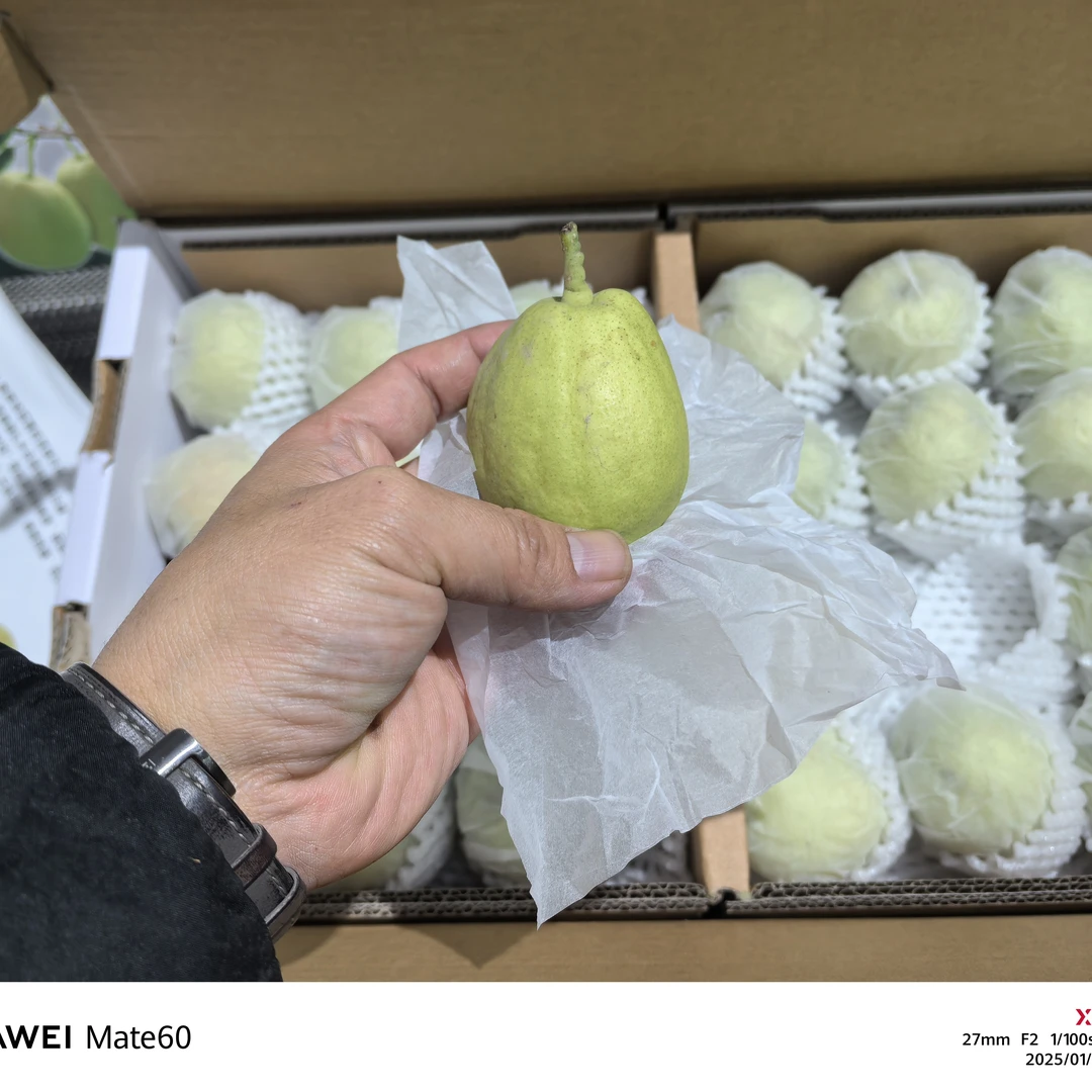 库尔勒香梨正宗品种礼盒装