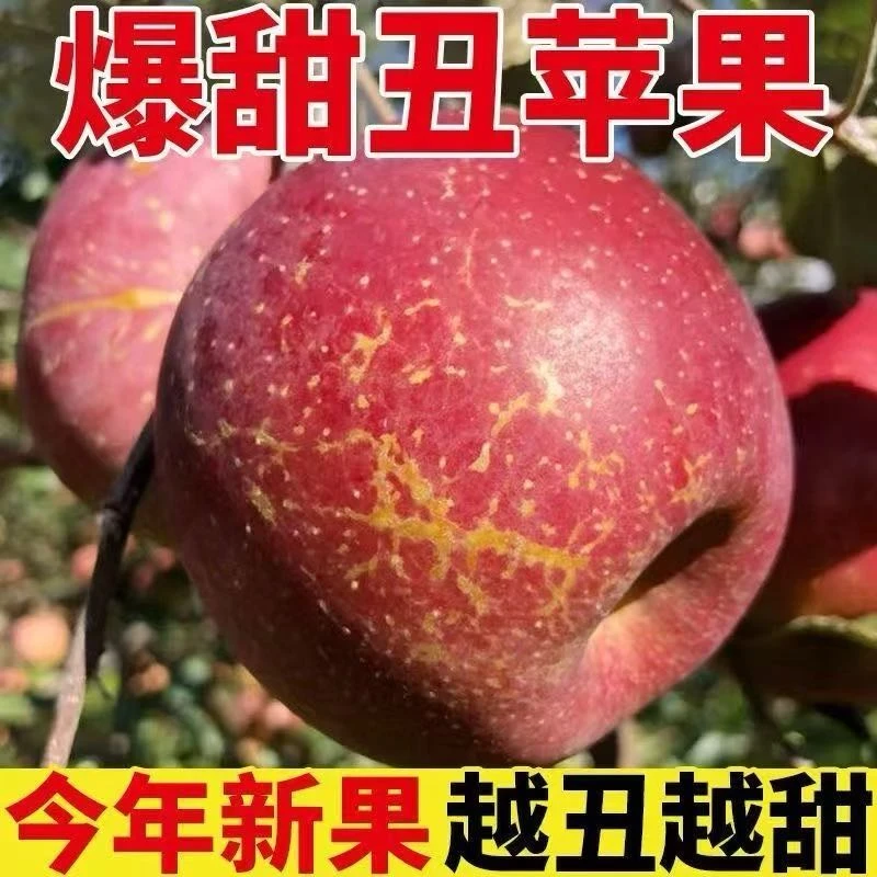 C云南昭通苹果【顺丰包邮】送货上门【次日达】云南昭通丑苹果次日达现摘新鲜脆甜多汁苹果5斤苹果云南省