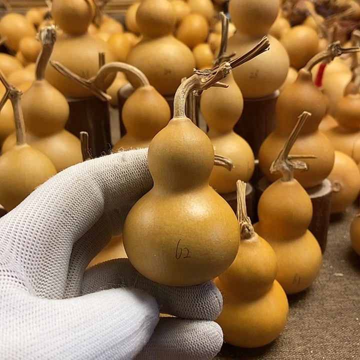 文玩葫芦 完美主义者 慎拍62