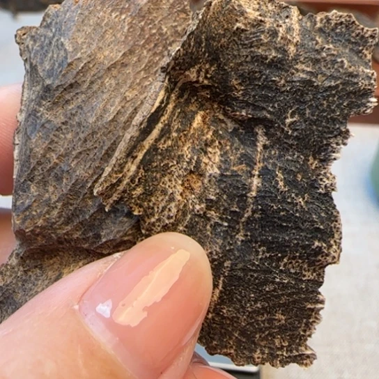 沉香摆件海南琼中沉水包头2.9克