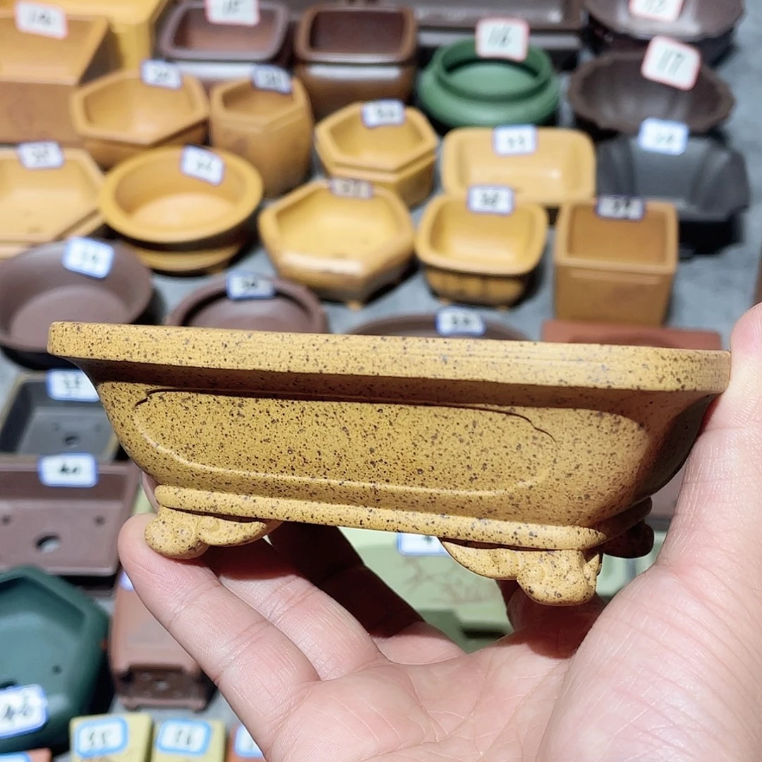 紫砂小盆11*9*3cmmmm