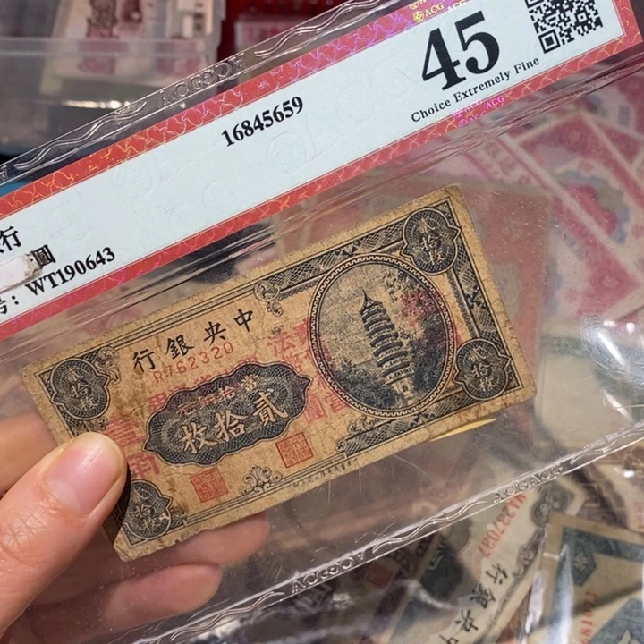 闪购链接88888888888881