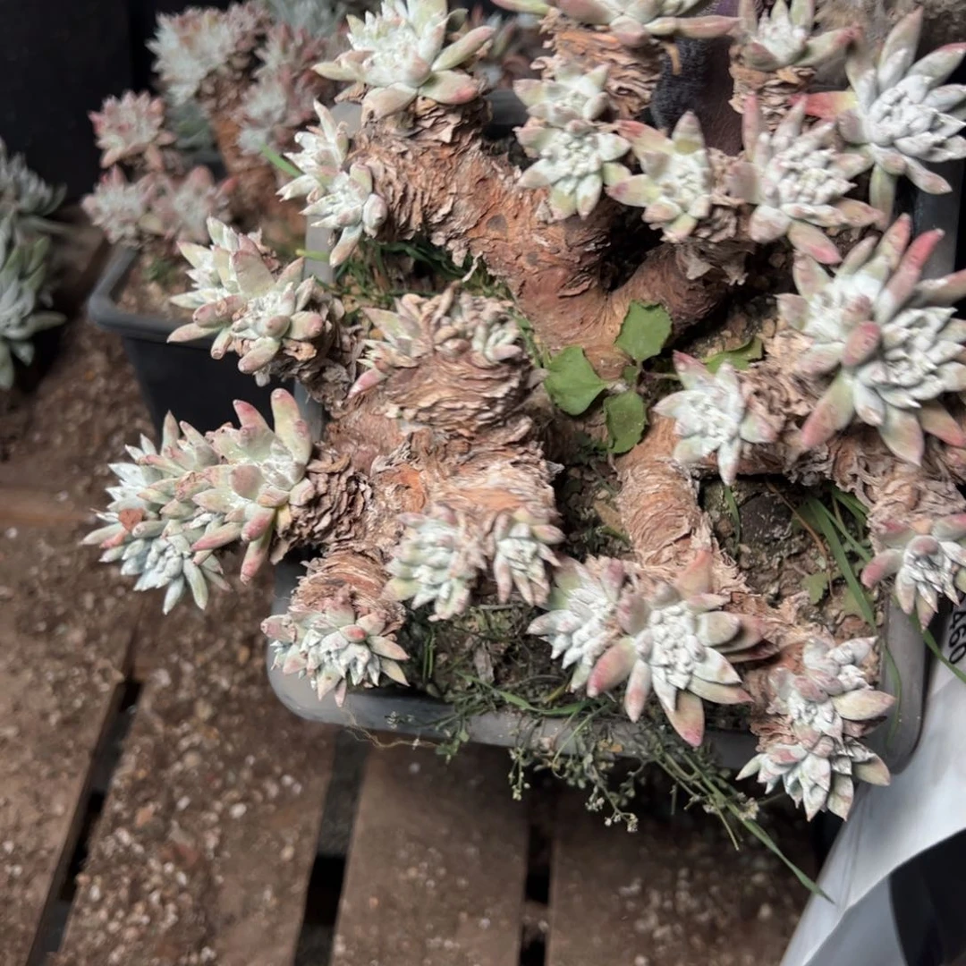 我*我2459哈哈哈哈哈哈哈