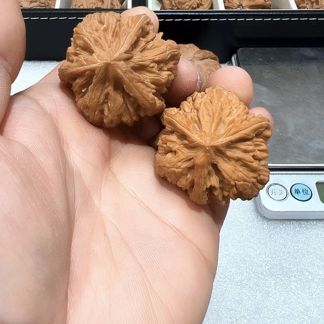 刘***.把件文玩核桃39御龙三棱全品