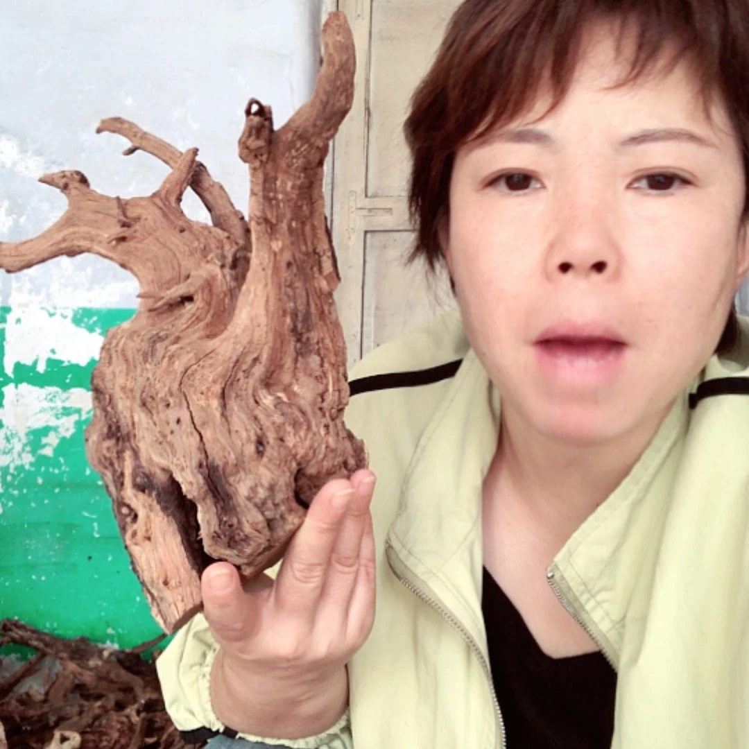 【闪购商品】香榧木修*1111111111111
