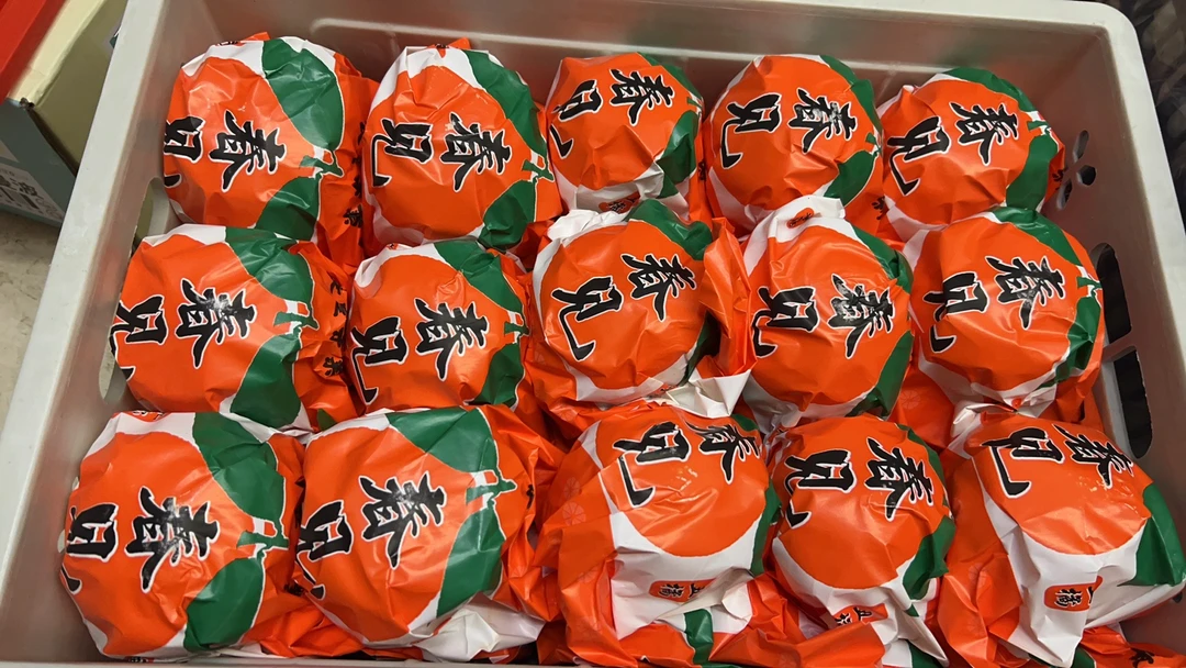 春见