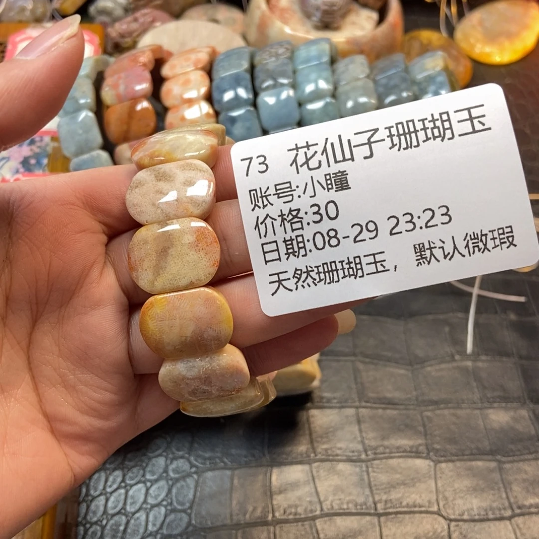 小***瞳未镶嵌硅化珊瑚（珊瑚玉）珠宝半成品73