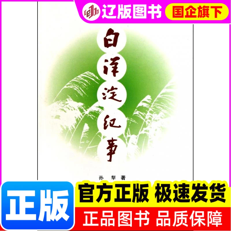 白洋淀纪事 孙犁. 中国青年出版社 【正版图书书籍】