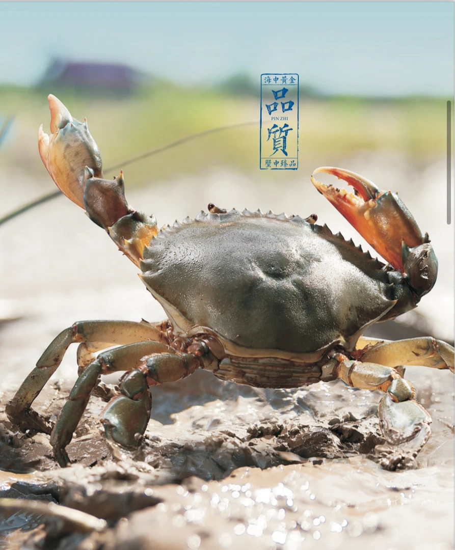 【3斤装 三门青蟹 地标特产】 包肥包活 江浙沪皖 顺丰包邮