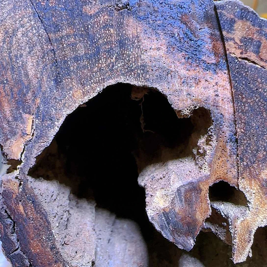 【闪购商品】木韩降真香原料开料