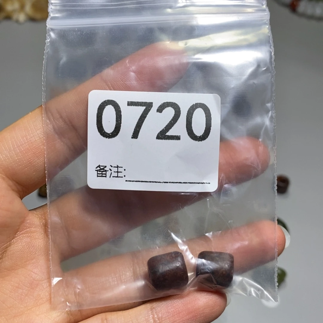 颈饰未镶嵌透闪石质玉淼*