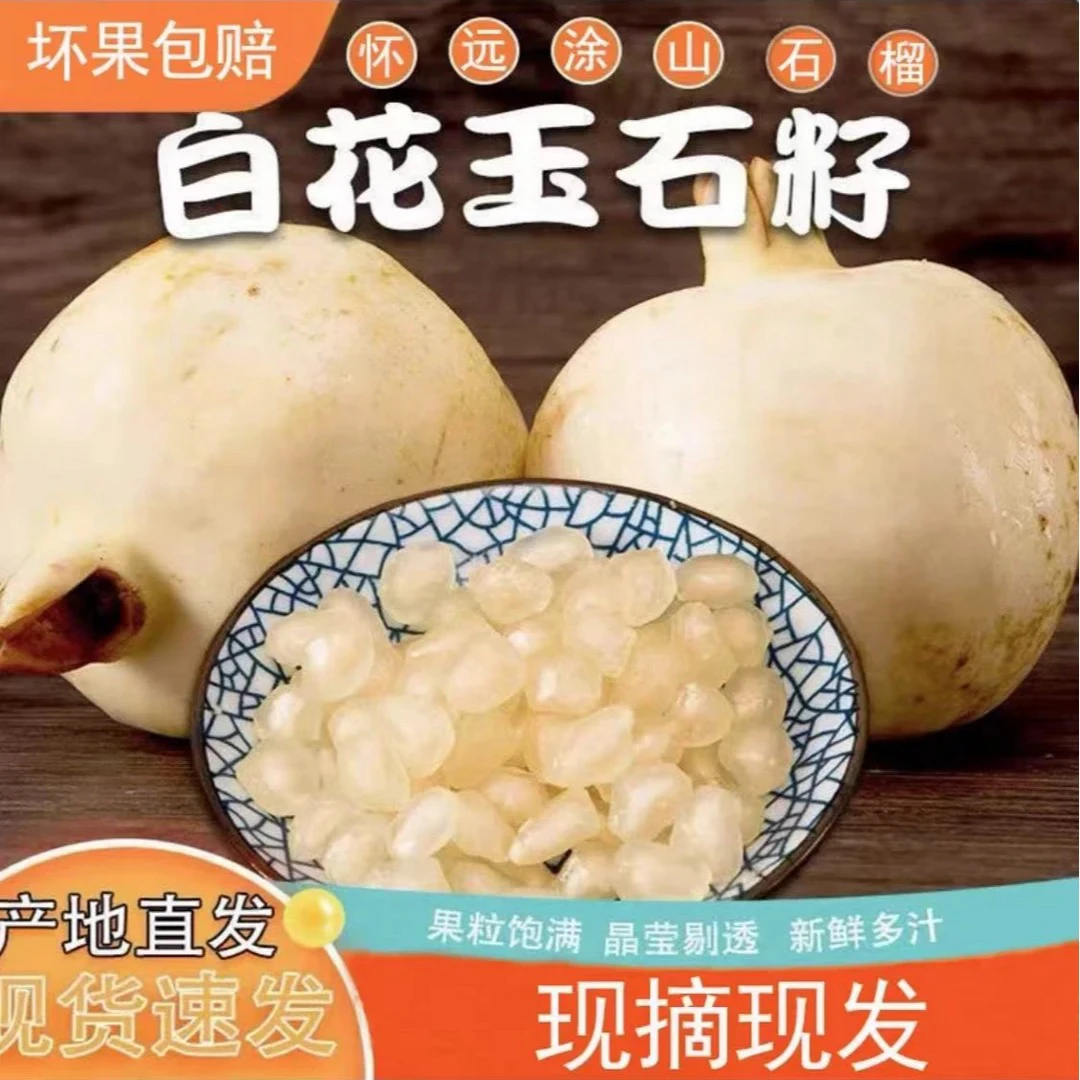 正宗怀远白花玉石籽石榴中果单果重0.5-0.7斤中秋送礼首选