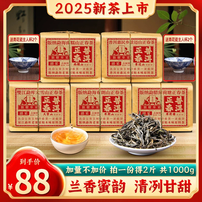 【云南正宗正春普洱】头春古树普洱生茶满满五袋足足1000g大份量