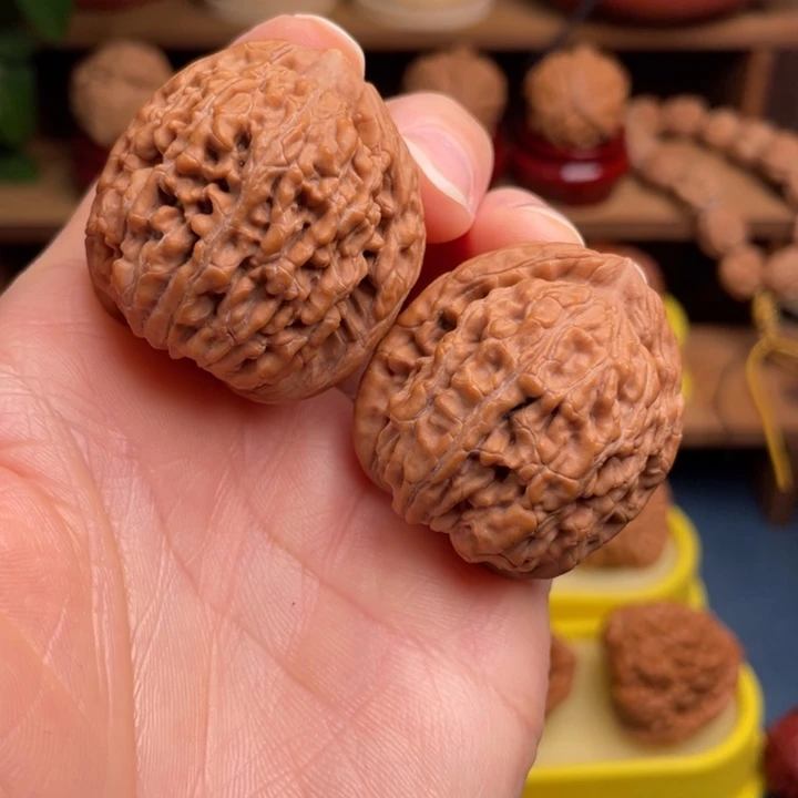 文玩核桃把件蚂蚁王38