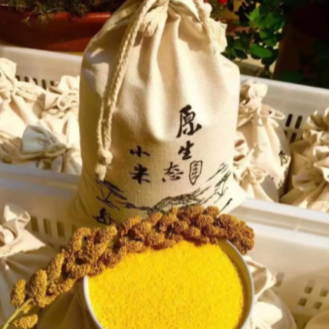 小纪推介2024陕北新小米