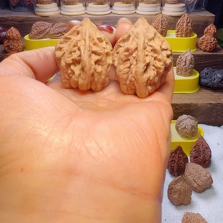 核桃26号车放漏漏漏