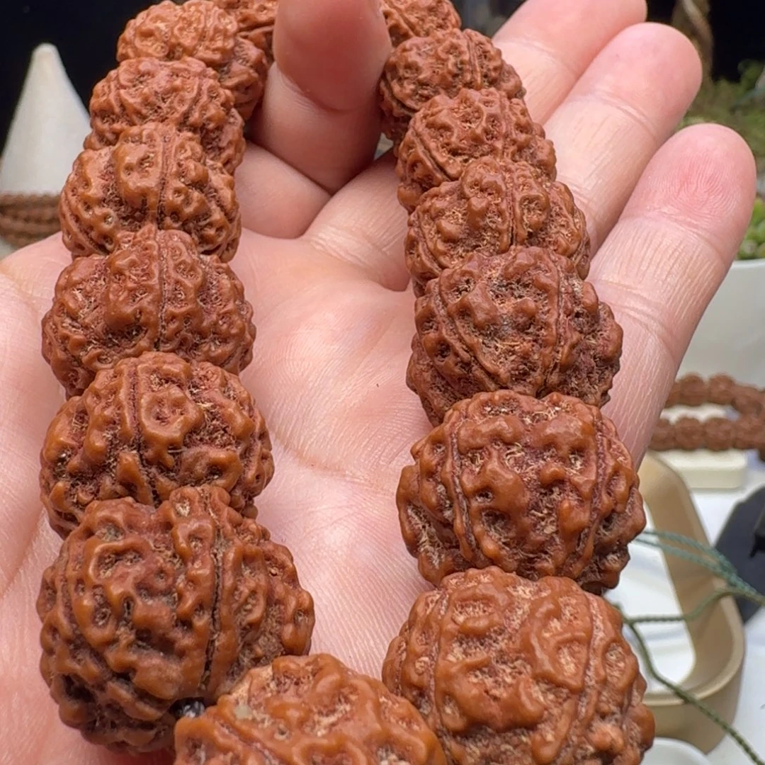 手串金刚菩提粗筋双龙