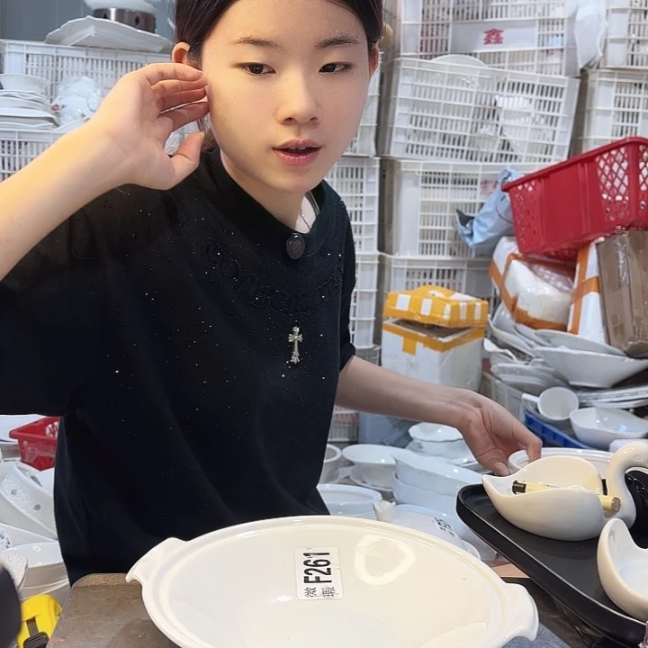 碟微瑕产品………261一个