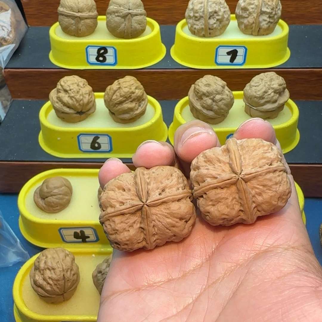 七***特桃核把件四棱核桃