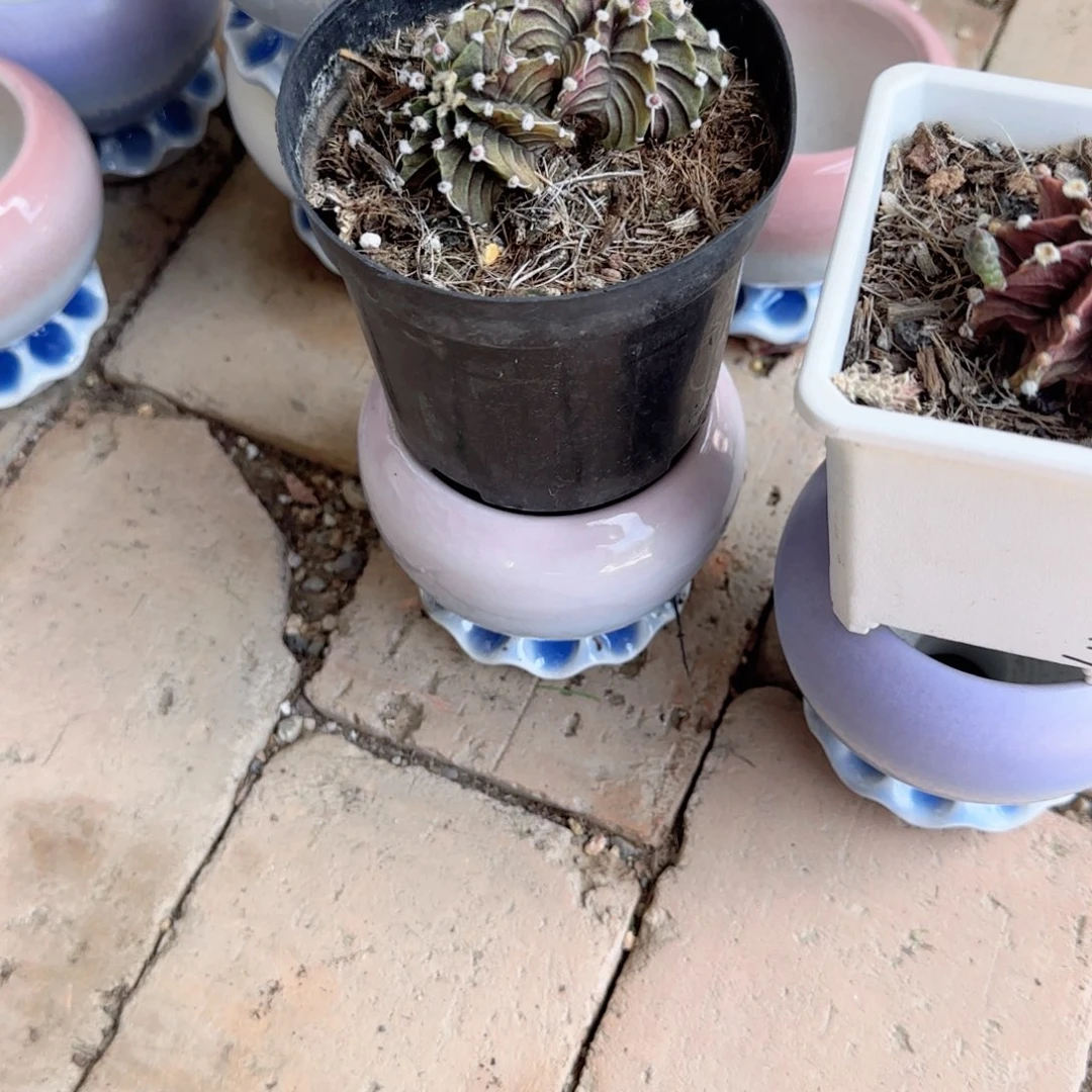 欽****无花朵换成章鱼盆，两个牡丹