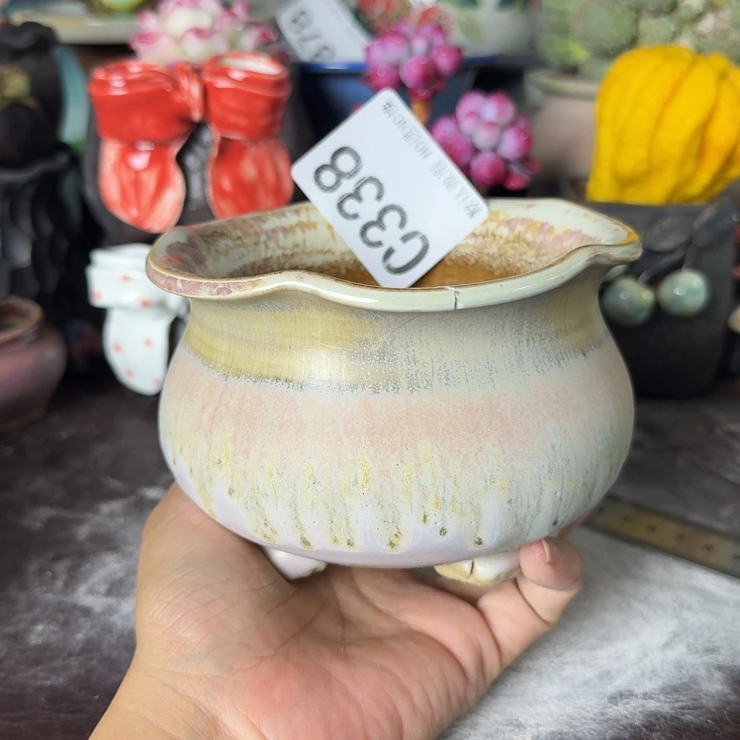 ****好重庆小燕子欢迎大家338