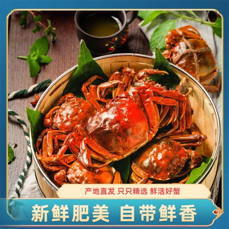 【活蟹】盘锦河蟹 公蟹 1.9-1.7两/只 2斤/3斤（12-18只）鲜活发货