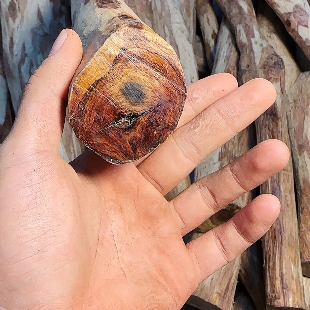 黄花梨/降香黄檀用****2