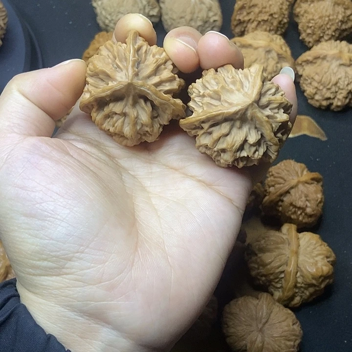 文玩核桃    盘三三棱