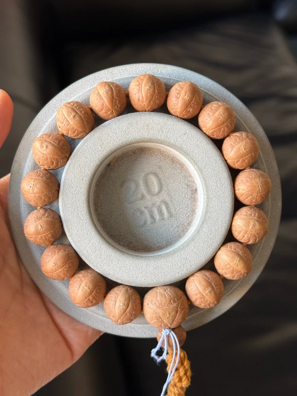 凤眼菩提子1.4尺寸大萌眼