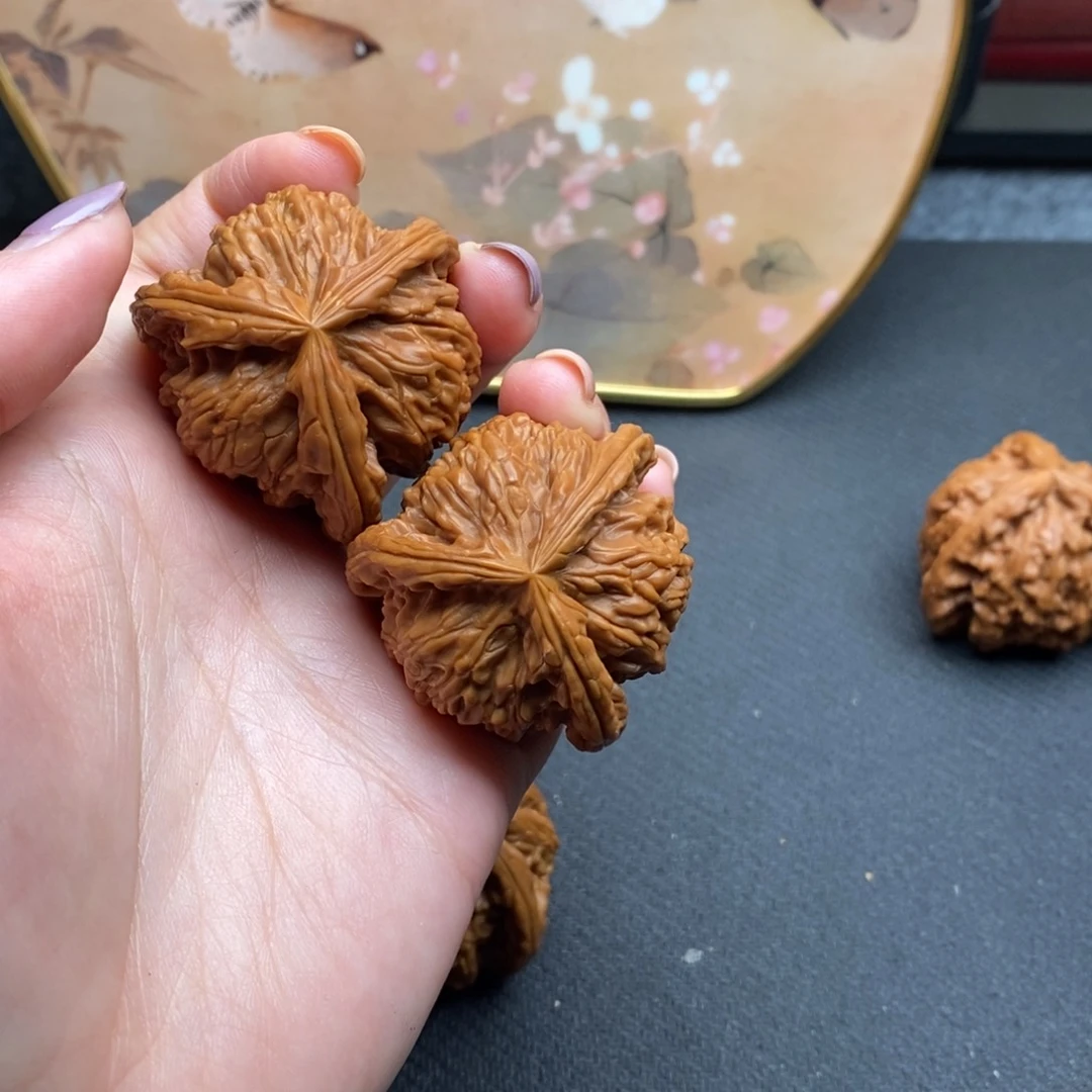 九*份白狮子11111111111