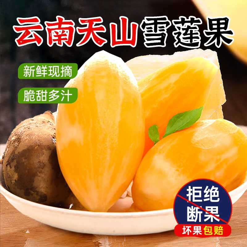 【好鲜市集】云南高原雪莲果大果3-9斤 清甜 新鲜水果