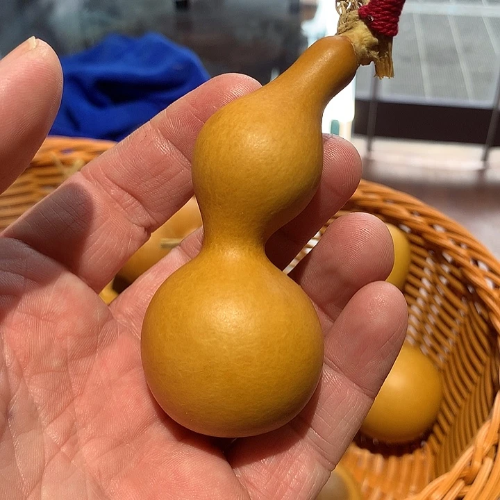 葫芦文玩葫芦蚂蚁葫芦