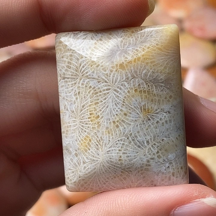 一***情硅化珊瑚未镶嵌颈饰